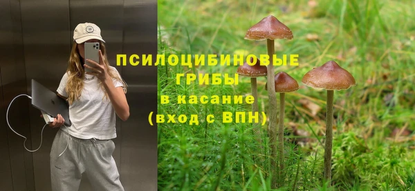 СК Абдулино