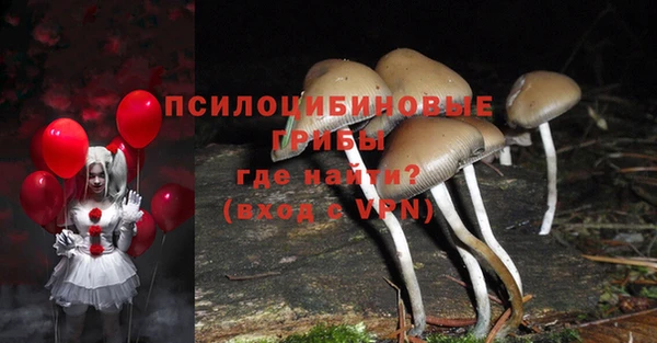 СК Абдулино