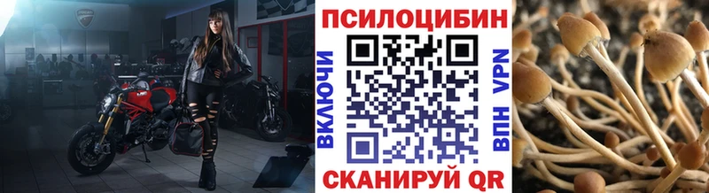 Галлюциногенные грибы мухоморы  мега ссылка  Дмитровск 